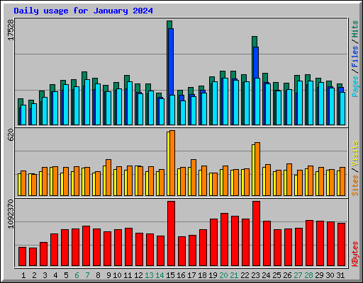 Daily usage for January 2024