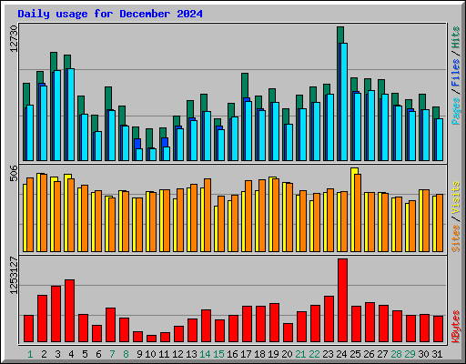 Daily usage for December 2024
