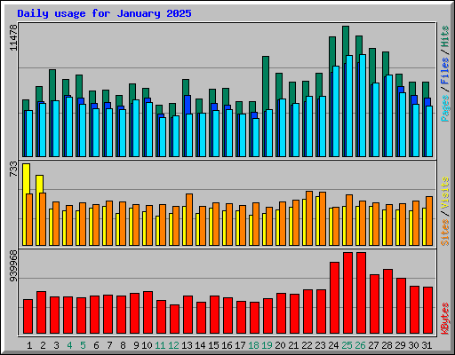 Daily usage for January 2025