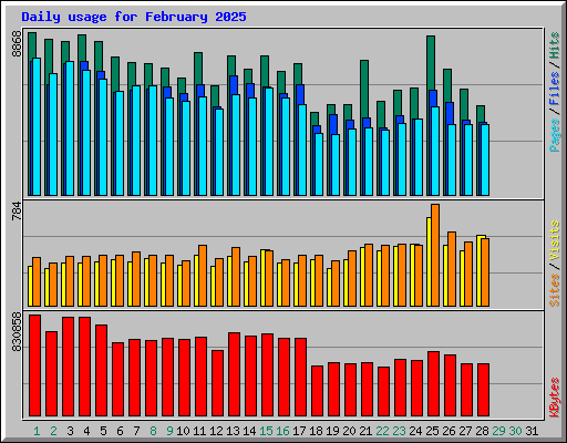 Daily usage for February 2025