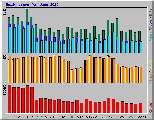 Daily usage for June 2025