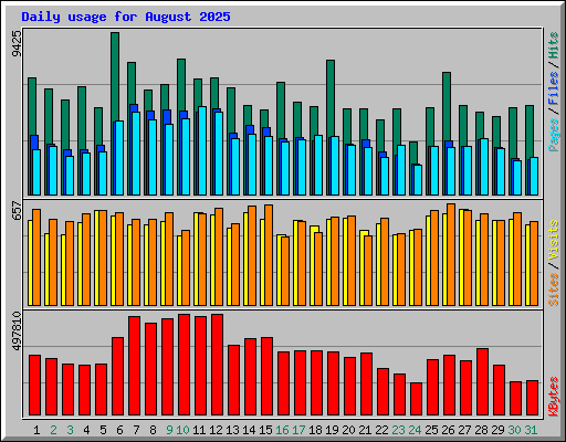 Daily usage for August 2025