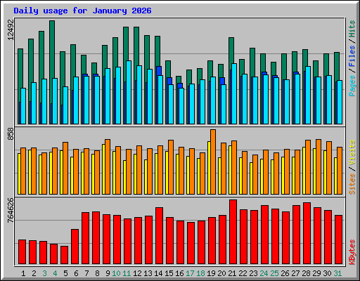 Daily usage for January 2026