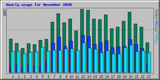 Hourly usage for November 2020