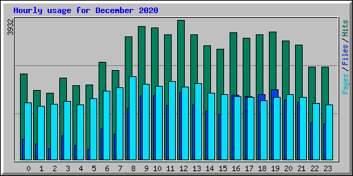 Hourly usage for December 2020