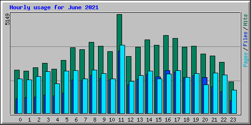 Hourly usage for June 2021