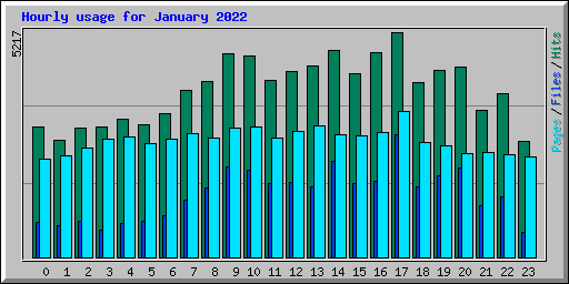 Hourly usage for January 2022