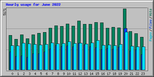 Hourly usage for June 2022
