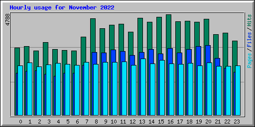 Hourly usage for November 2022