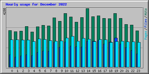 Hourly usage for December 2022