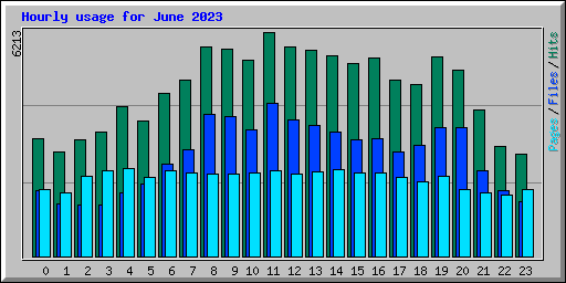Hourly usage for June 2023