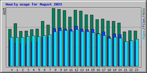 Hourly usage for August 2023