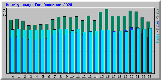 Hourly usage for December 2023
