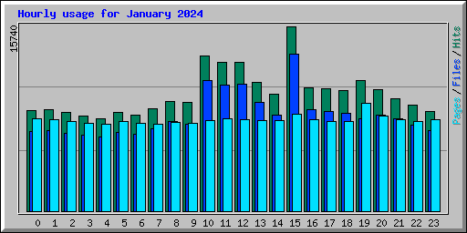 Hourly usage for January 2024