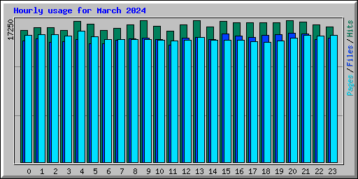 Hourly usage for March 2024