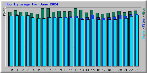 Hourly usage for June 2024