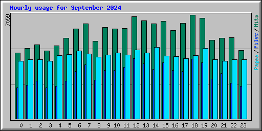 Hourly usage for September 2024