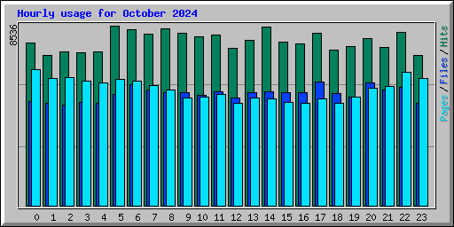 Hourly usage for October 2024