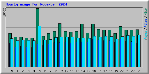 Hourly usage for November 2024