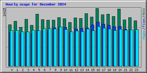 Hourly usage for December 2024