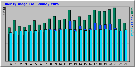 Hourly usage for January 2025
