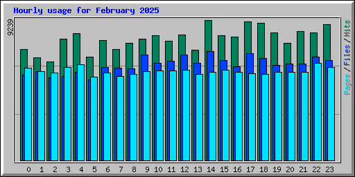 Hourly usage for February 2025