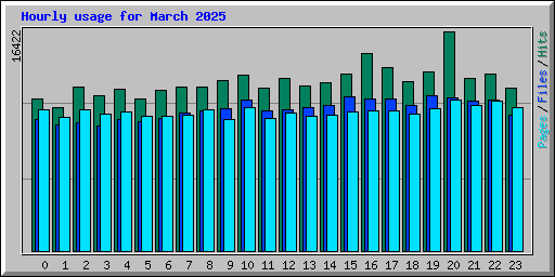 Hourly usage for March 2025