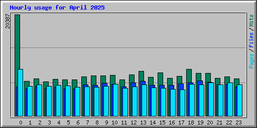 Hourly usage for April 2025