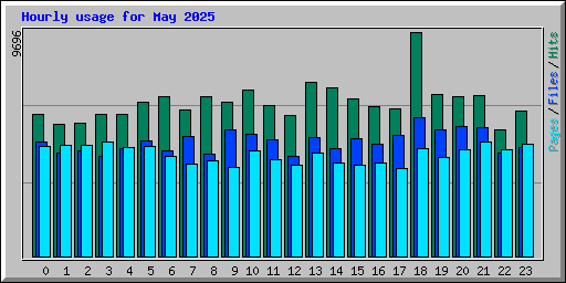Hourly usage for May 2025