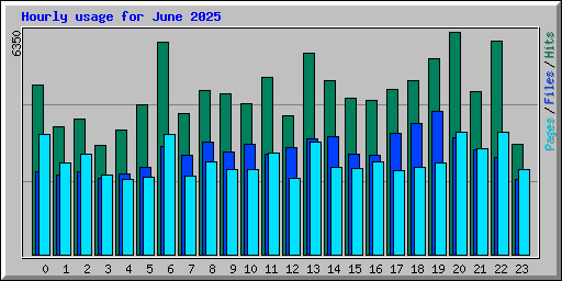 Hourly usage for June 2025