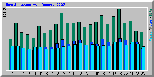 Hourly usage for August 2025