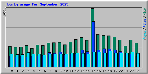 Hourly usage for September 2025