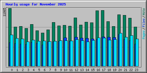 Hourly usage for November 2025