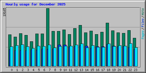 Hourly usage for December 2025
