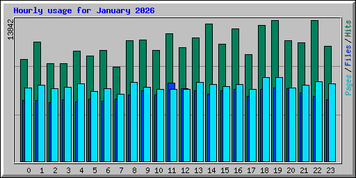 Hourly usage for January 2026