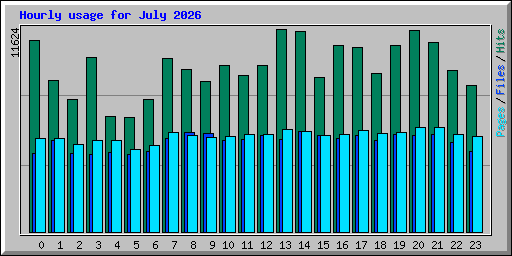 Hourly usage for July 2026
